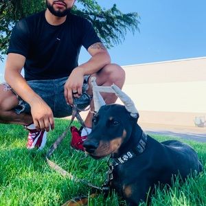 Meet your Posher, Brian